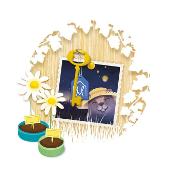 ILLUSTRATION * édition